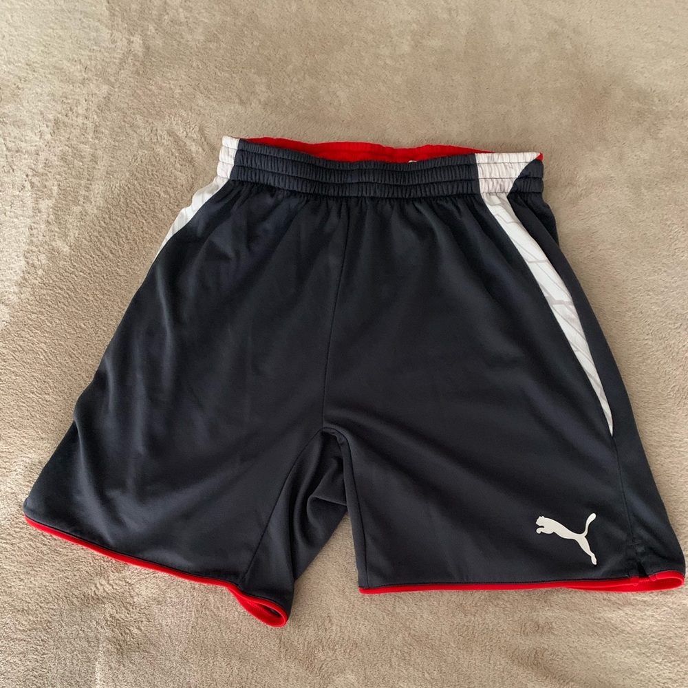 Puma Men’s Gray Soccer Short Size Small